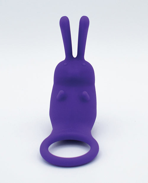 Natalie&#039;s Toy Box The Cock Hopper Cock Ring &amp; Bullet Vibrator - Purple